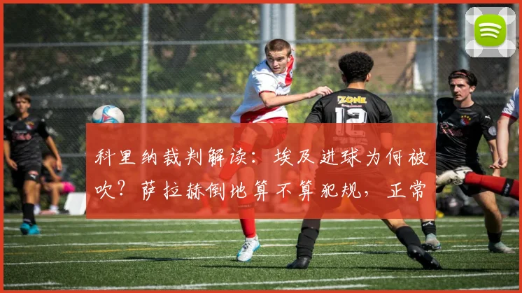 科里纳裁判解读：埃及进球为何被吹？萨拉赫倒地算不算犯规，正常对抗尺度在哪？