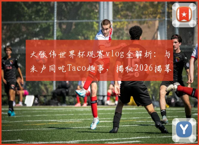 大张伟世界杯观赛vlog全解析：与米卢同吃Taco趣事，揭秘2026揭幕战现场氛围